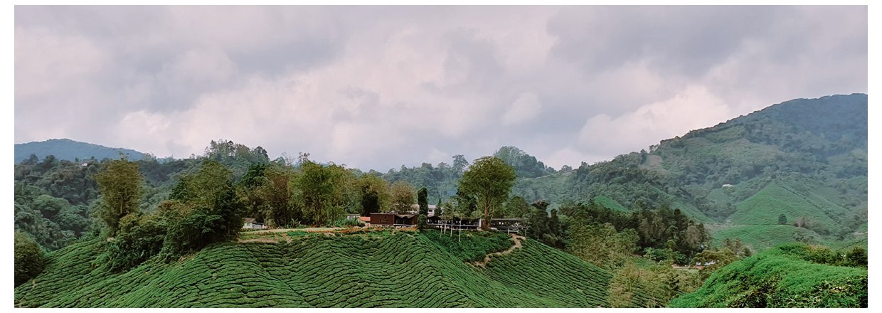 Vejen fra Malaysias bjerge til dit tekrus