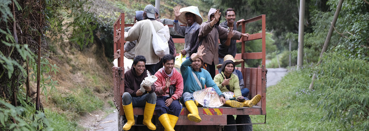 Arbejderne fra BOH teplantage - kører tilbage fra te høsten