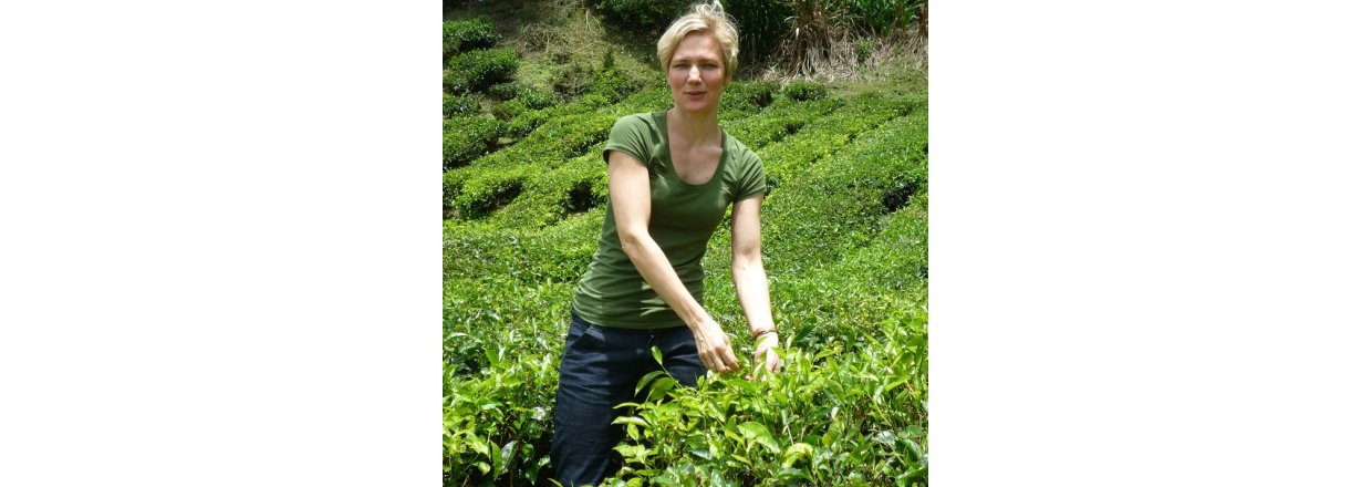 Aprilsnar i teplantagen