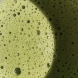 Økologisk chai matcha - matcha pulver med krydderi DK-ØKO-100