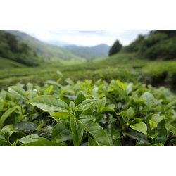 BOH Cameron Highland te 500 g