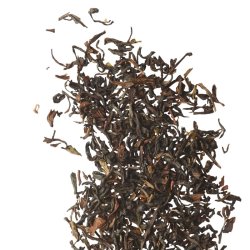 Darjeeling Te (6 stk) kologisk DK-KO-100