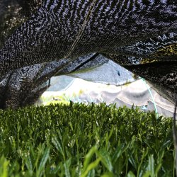 KOLOGISK MATCHA NO. 3 japansk DK-KO-100